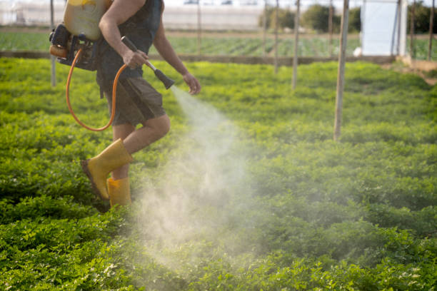 Best Best Pest Control Companies  in Lloyd Harbor, NY