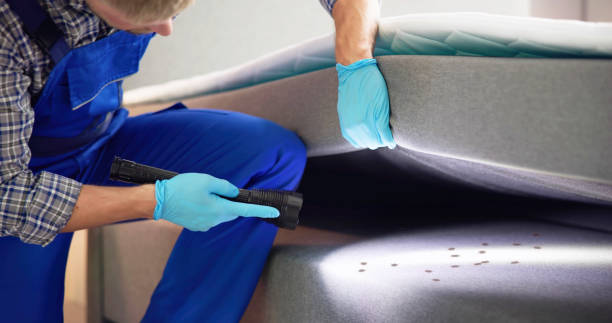 Best Flea Control Services  in Lloyd Harbor, NY